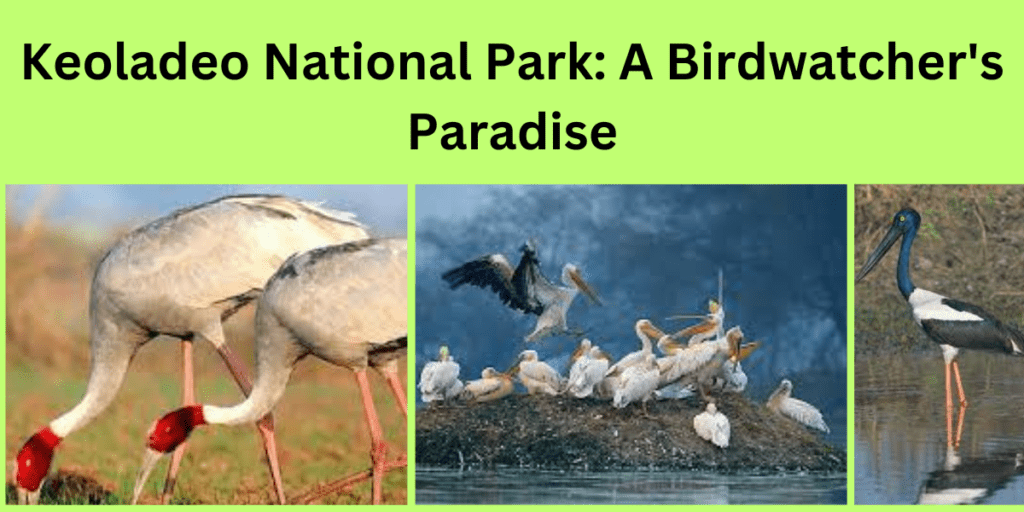 Keoladeo National Park