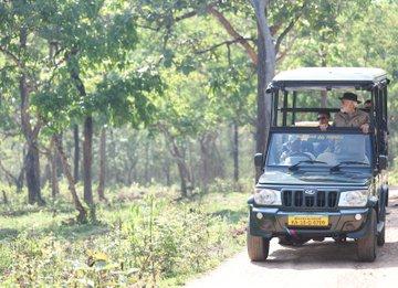 Discover the Untamed Beauty of Bandipur Tiger Reserve and National Park