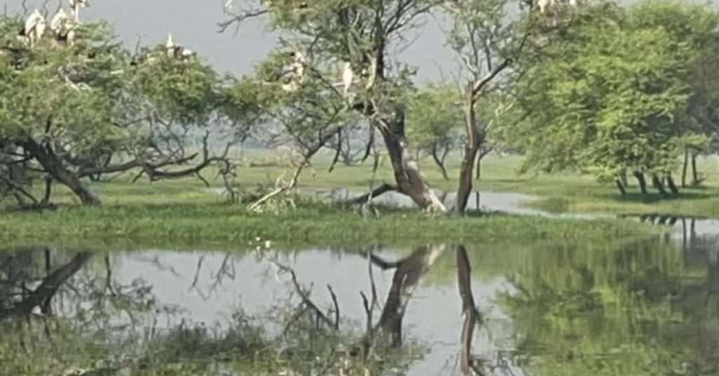 Keoladeo National Park